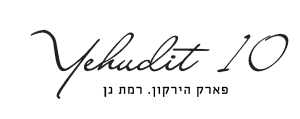 לוגו פרוייקט יהודית 10